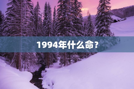 1994年什么命？