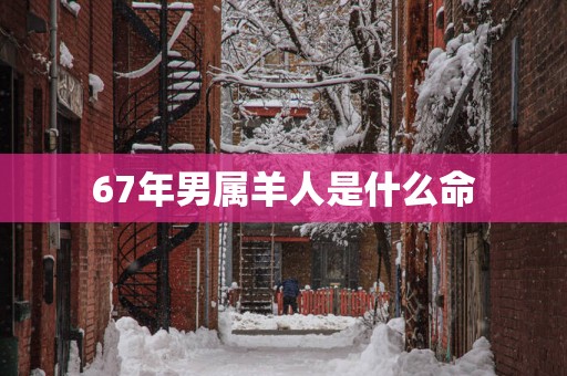 67年男属羊人是什么命