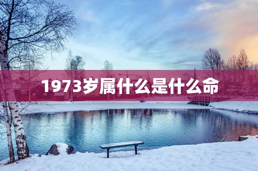 1973岁属什么是什么命