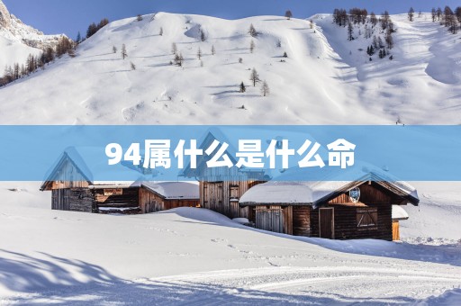 94属什么是什么命