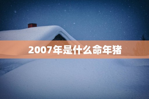 2007年是什么命年猪