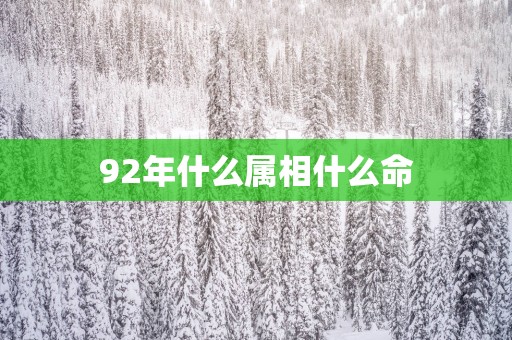 92年什么属相什么命