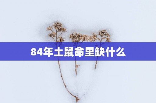 84年土鼠命里缺什么