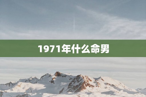1971年什么命男