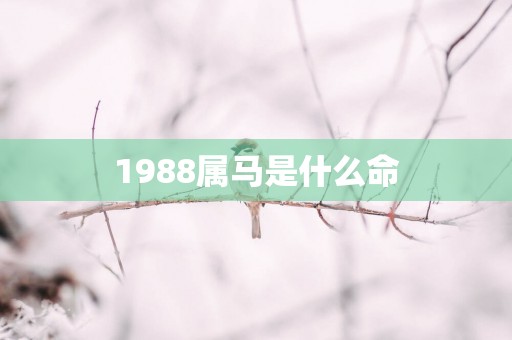 1988属马是什么命
