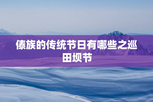 傣族的传统节日有哪些之巡田坝节
