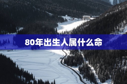 80年出生人属什么命