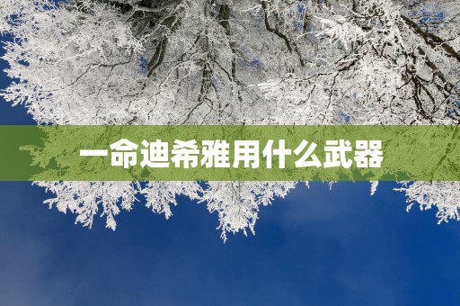 一命迪希雅用什么武器