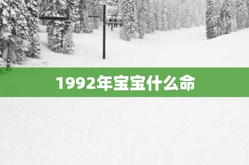 1992年宝宝什么命