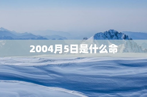 2004月5日是什么命