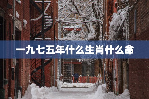 一九七五年什么生肖什么命