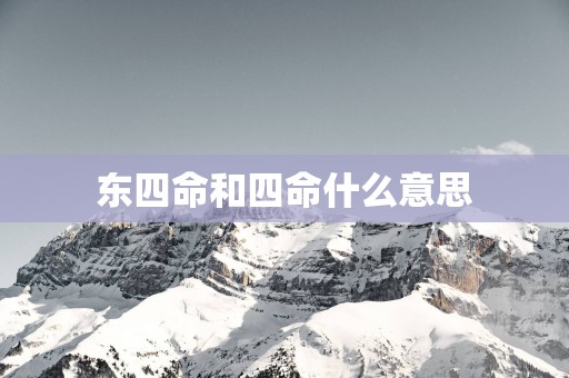 东四命和四命什么意思