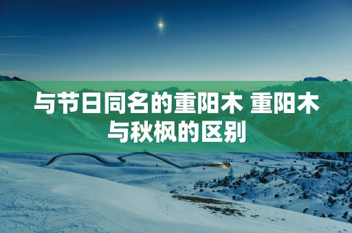 与节日同名的重阳木 重阳木与秋枫的区别