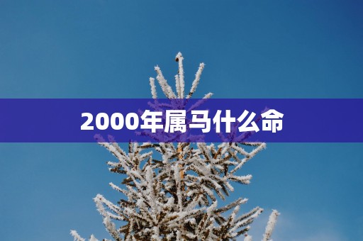 2000年属马什么命