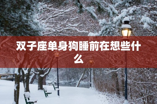 双子座单身狗睡前在想些什么