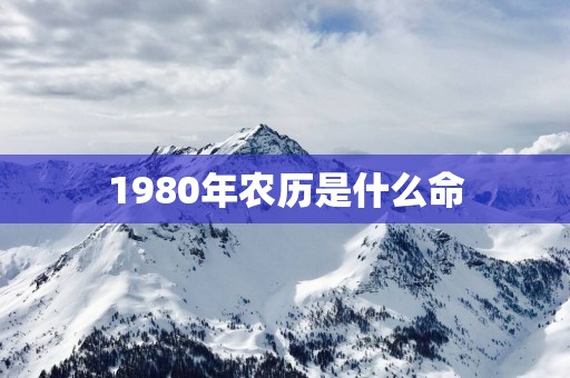 1980年农历是什么命