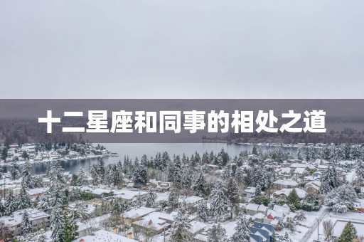 十二星座和同事的相处之道