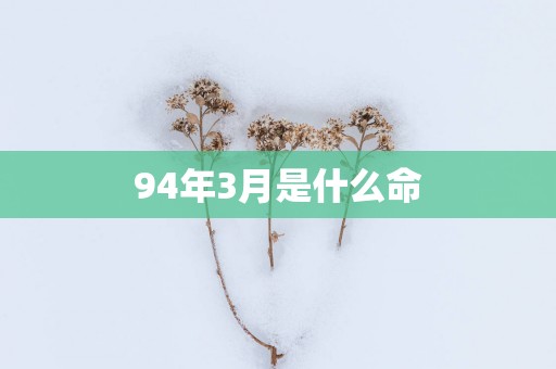94年3月是什么命