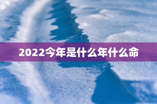 2025今年是什么年什么命