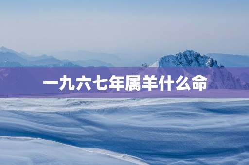 一九六七年属羊什么命