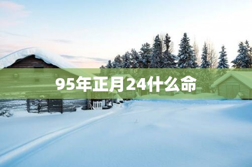 95年正月24什么命