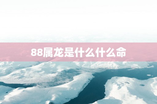 88属龙是什么什么命
