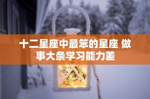 十二星座中最笨的星座 做事大条学习能力差