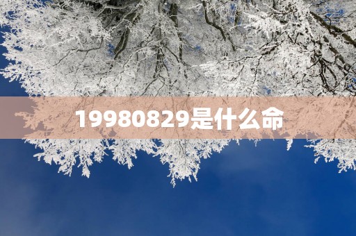19980829是什么命