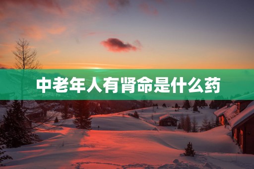 中老年人有肾命是什么药