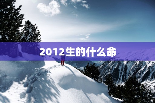 2012生的什么命