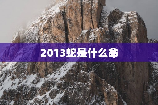 2013蛇是什么命