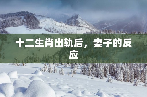 十二生肖出轨后，妻子的反应