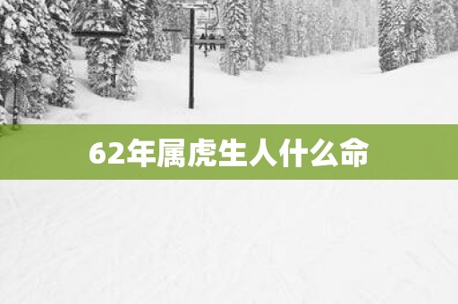 62年属虎生人什么命