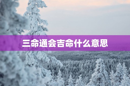 三命通会吉命什么意思