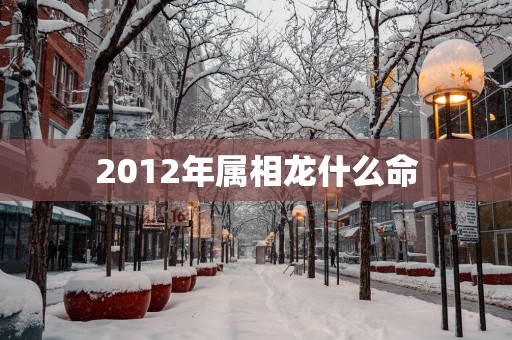2012年属相龙什么命 2012年属相龙什么命