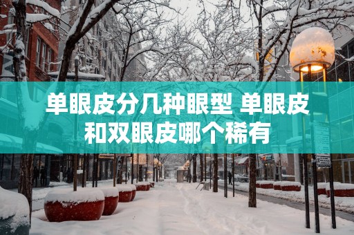 单眼皮分几种眼型 单眼皮和双眼皮哪个稀有