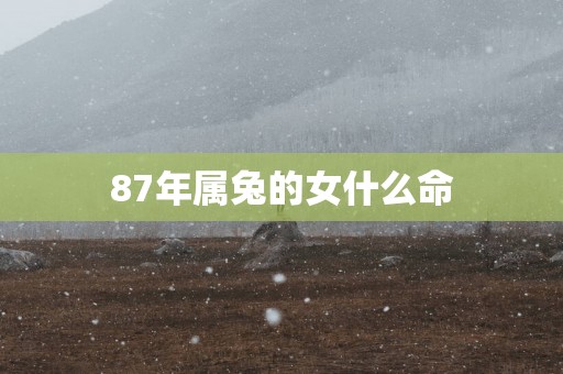 87年属兔的女什么命