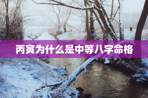 丙寅为什么是中等八字命格