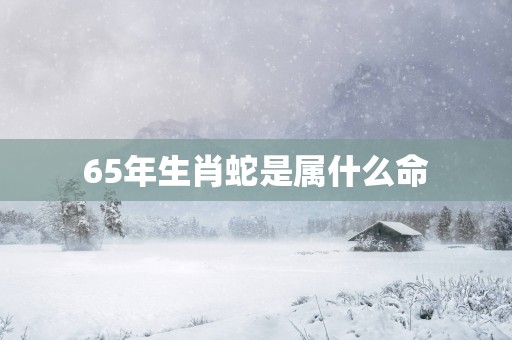 65年生肖蛇是属什么命