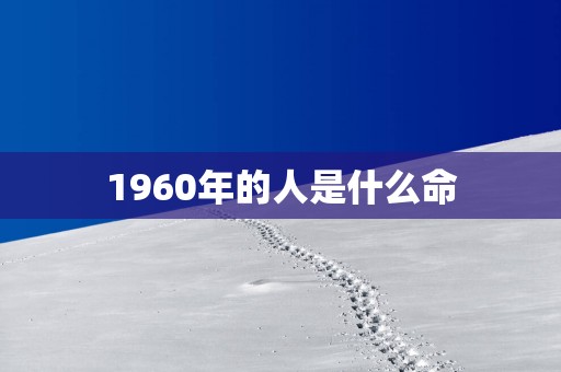 1960年的人是什么命