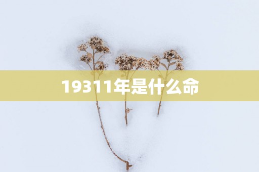 19311年是什么命