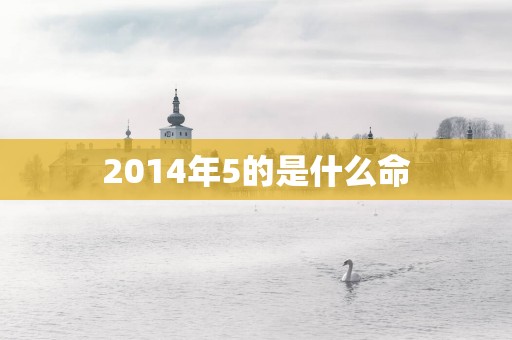 2014年5的是什么命
