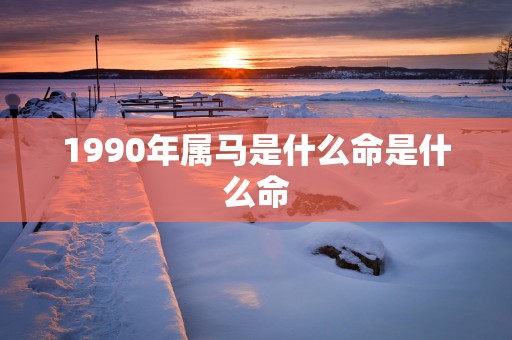 1990年属马是什么命是什么命