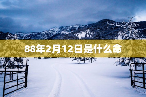 88年2月12日是什么命