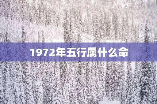 1972年五行属什么命
