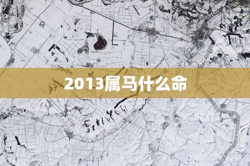 2013属马什么命