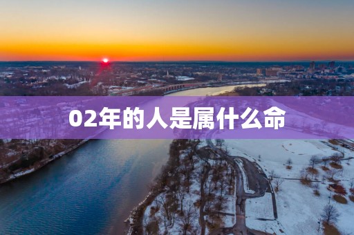 02年的人是属什么命