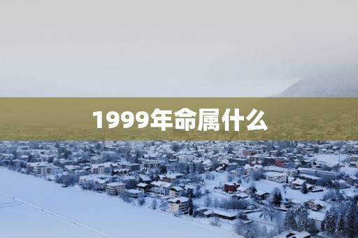 1999年命属什么