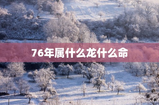76年属什么龙什么命