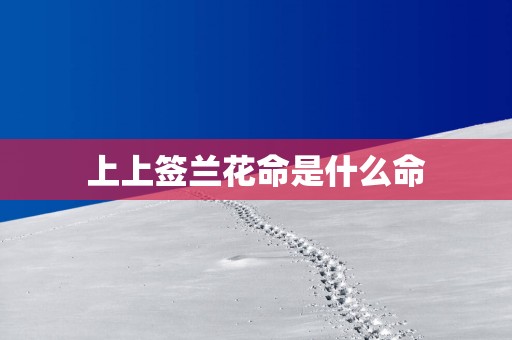 上上签兰花命是什么命